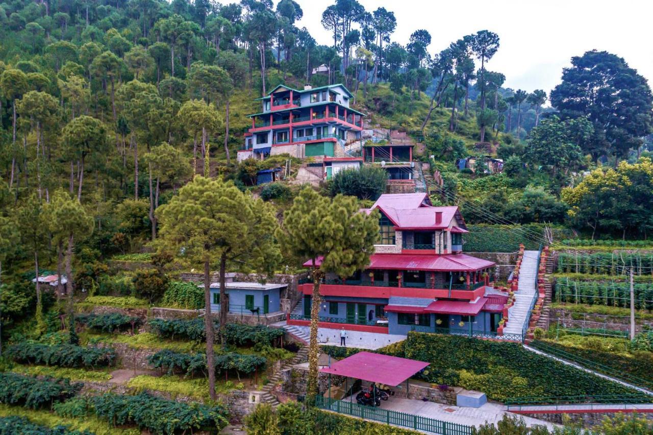 Stayvista At Cecil Cottages With Barbeque, Hill View كاساولى المظهر الخارجي الصورة
